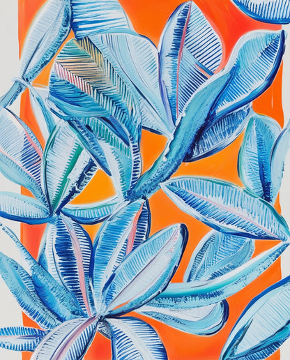 Πίνακας Echeveria