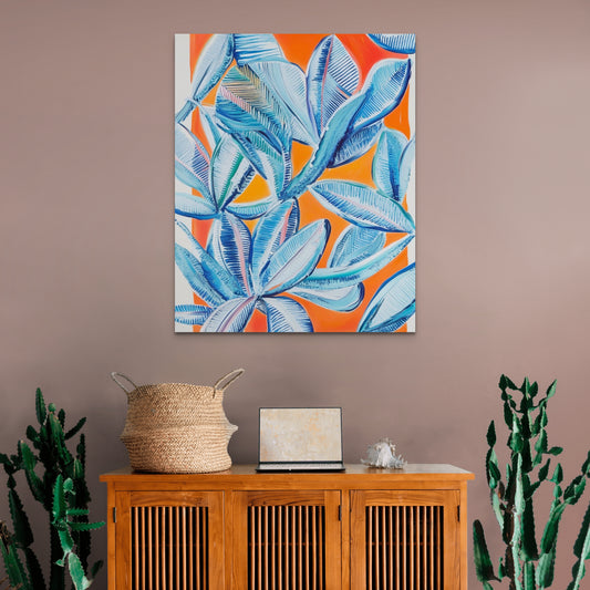 Πίνακας Echeveria