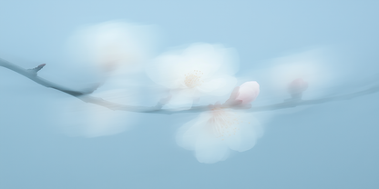 Πίνακας Springtime Diffractions